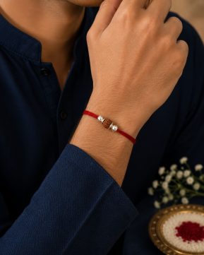 Silvieve website (41)